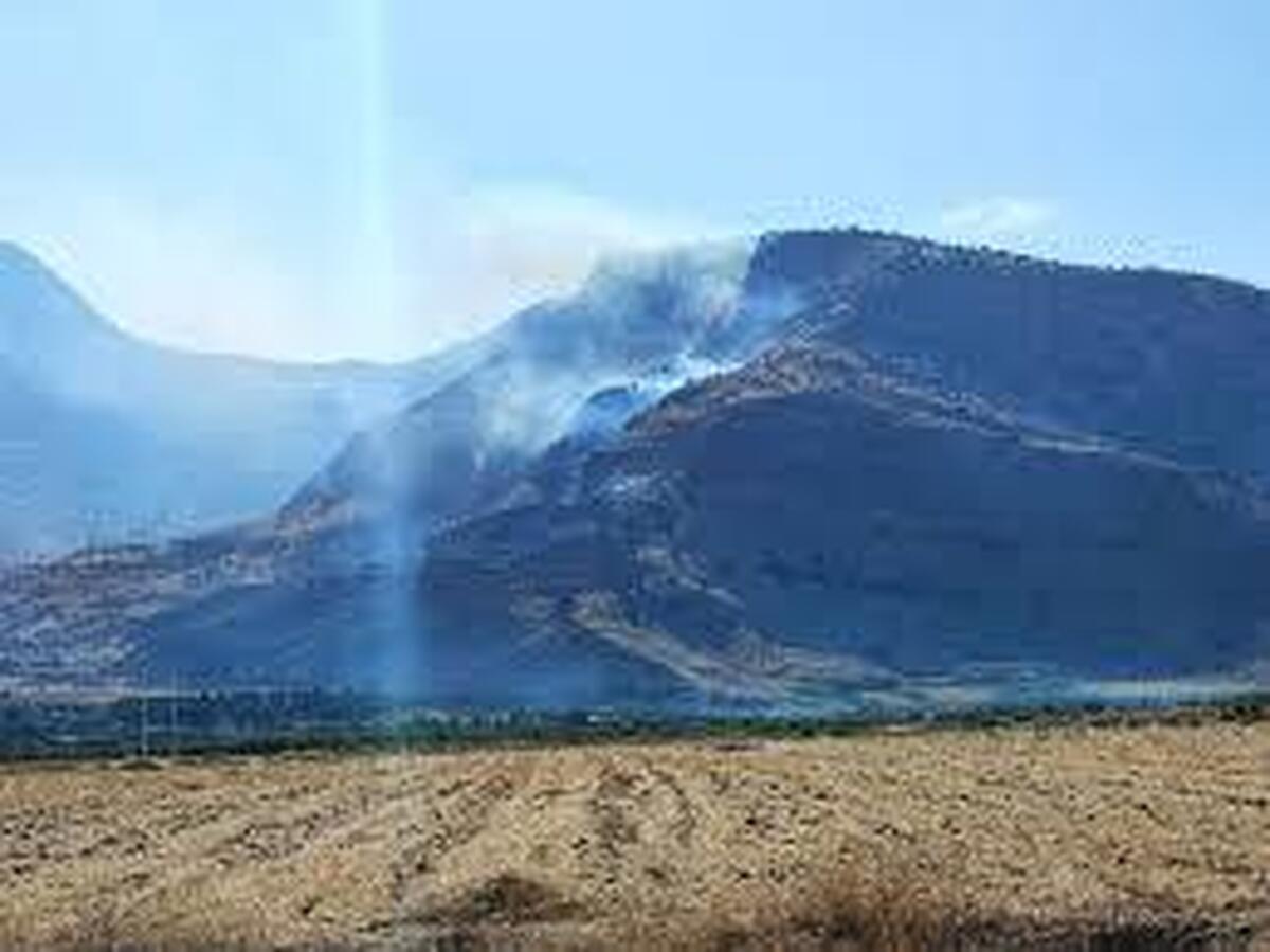 آتش سوزی در ۲ هزار و ۶۰۰ هکتار از جنگل‌های  لرستان