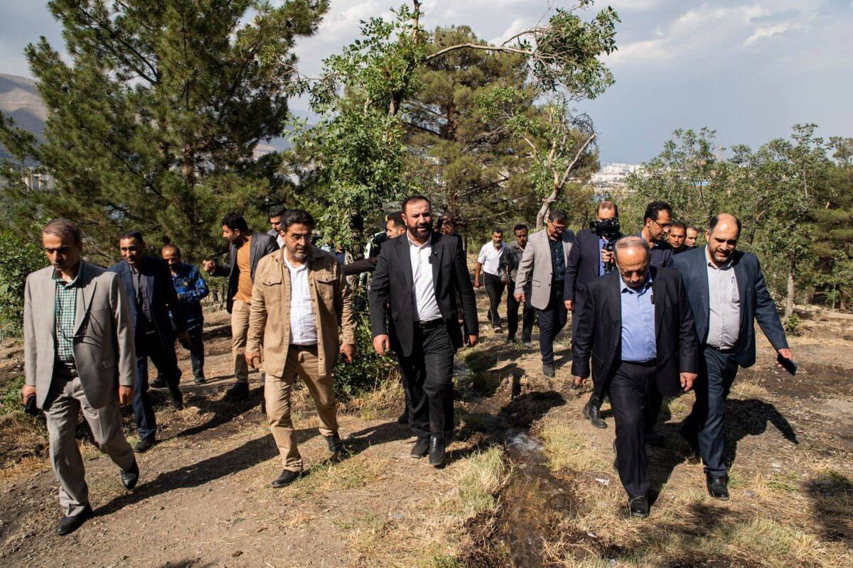 آغاز روند احیای درختان پارک چیتگر با ورود دادستان
