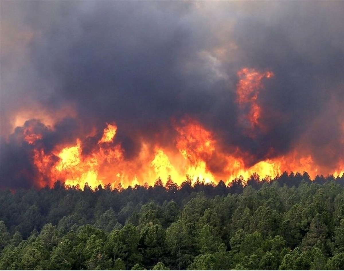 جنگل های پلدختر در محاصره آتش
