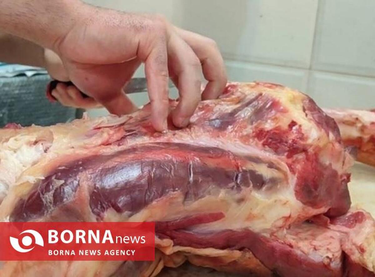 توزیع بیش از ۲۰۰ کیلو گوشت و مرغ گرم بین خانواده زندانیان بی‌بضاعت گیلان