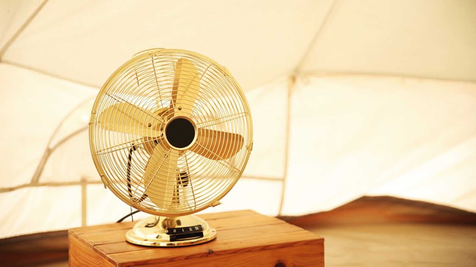 پنکه سقفی بهتر است پنکه ایستاده پنکه سقفی بهتر است پنکه ایستاده