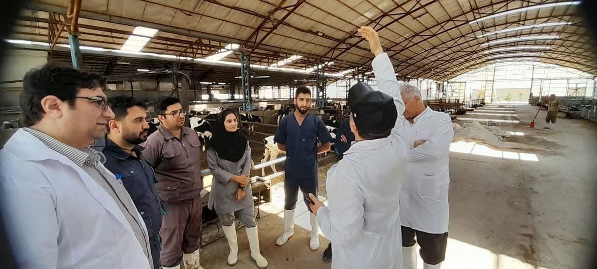 بازدید رئیس گروه تخصصی دامپزشکی کشور از یک واحد کشت و صنعت در قزوین