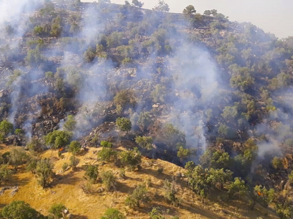 تشریح آخرین وضعیت آتش‌سوزی در منطقه حفاظت شده خائیز دهدشت