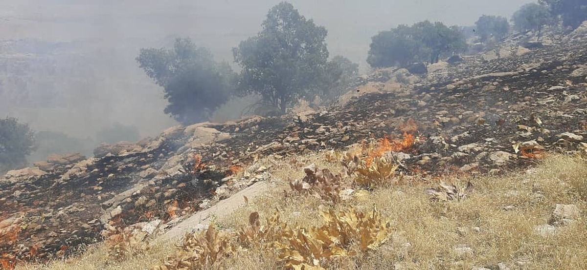 قلب زاگرس (خائیز ) در سایه بی تدبیری مسولان محیط زیست استان در آتش میسوزد