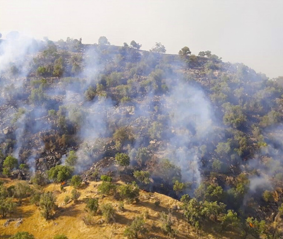 مهار آتش سوزی گسترده منطقه حفاظت شده خائیز شهرستان کهگیلویه