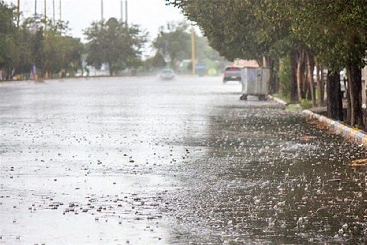 ثبت ۱۶ میلیمتر بارندگی در مشهد