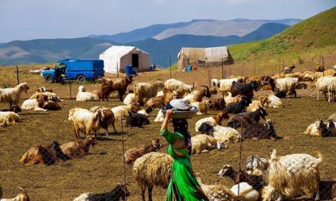 افزایش 50 درصد اعتبار تسهیلات عشایر استان قزوین افزایش 50 درصد اعتبار تسهیلات عشایر استان قزوین