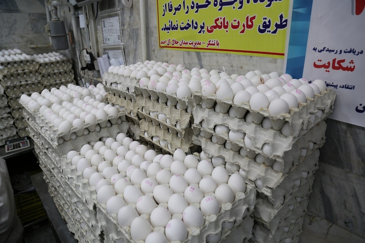 قیمت تخم مرغ در بازارهای میوه و تره بار اعلام شد