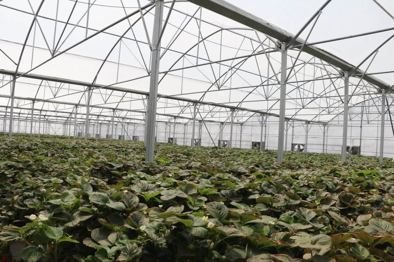 بیش از ۷ هزار هکتار از اراضی قزوین واگذار شد