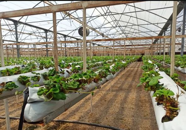 بیش از ۷ هزار هکتار از اراضی قزوین واگذار شد