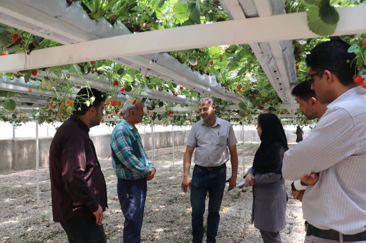 بیش از ۷ هزار هکتار از اراضی قزوین واگذار شد