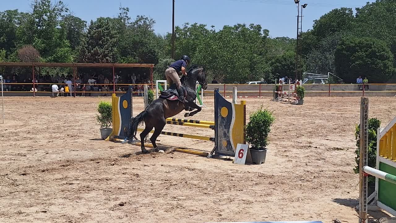 دومین دوره مسابقات پرش با اسب در قزوین برگزار شد دومین دوره مسابقات پرش با اسب در قزوین برگزار شد