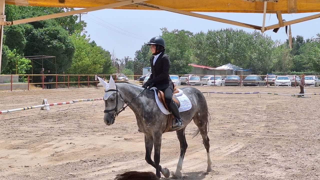 مسابقات درساژ در باشگاه سوارکاری سروش برگزار شد مسابقات درساژ در باشگاه سوارکاری سروش برگزار شد