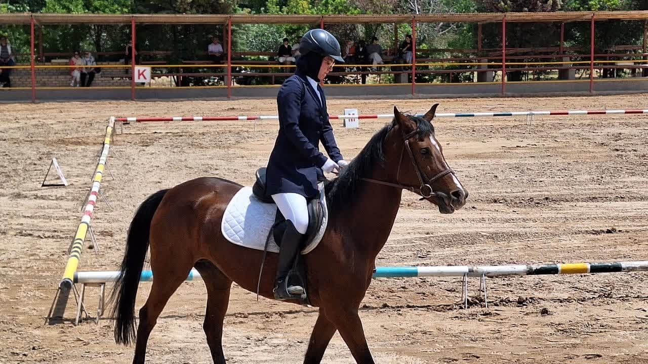 باشگاههای سوارکاری در استان قزوین درجه بندی می شوند باشگاههای سوارکاری در استان قزوین درجه بندی می شوند