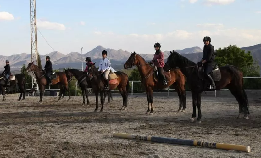باشگاههای سوارکاری در استان قزوین درجه بندی می شوند باشگاههای سوارکاری در استان قزوین درجه بندی می شوند