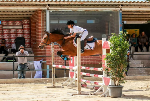 باشگاههای سوارکاری در استان قزوین درجه بندی می شوند باشگاههای سوارکاری در استان قزوین درجه بندی می شوند
