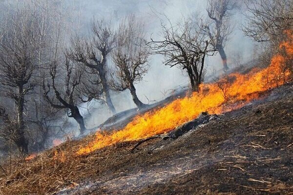 ۳۵ آتش‌سوزی در عرصه‌های طبیعی ایلام مهار شد