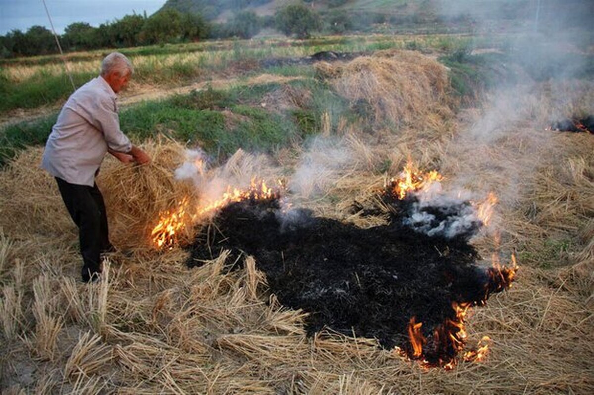کشاورزان از آتش زدن بقایای محصولات كشاورزي خودداری کنند