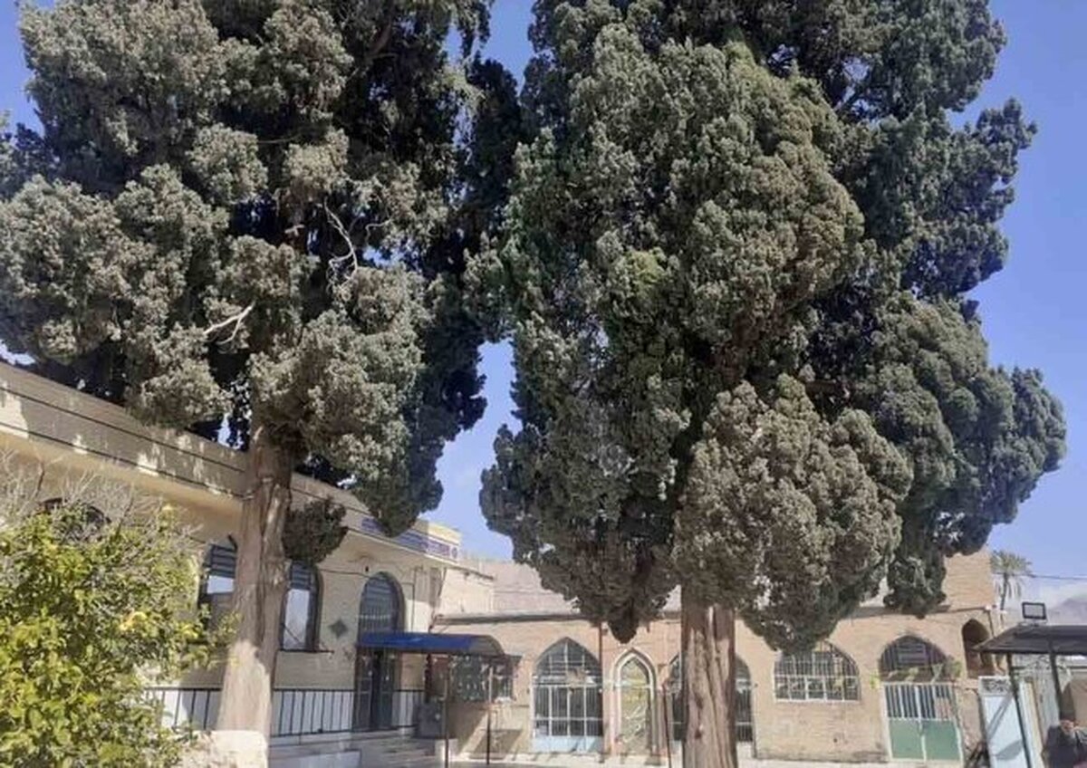 ثابت اقلیدی: ۹ درخت کهنسال فارس ثبت ملی شدند