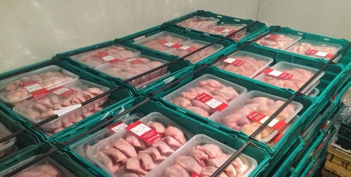 ۲۵ تن مرغ منجمد تولیدی ایلام به عراق صادر شد