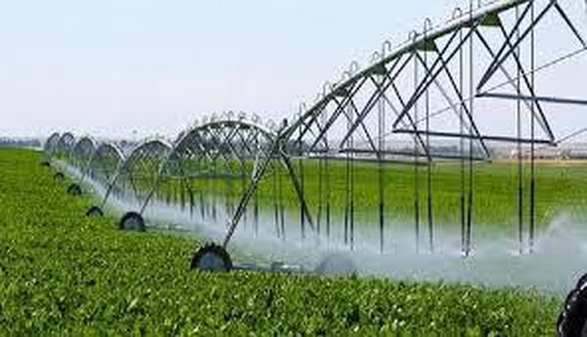 اجرای طرح آبیاری هوشمند در سه هزار هکتار اراضی کشاورزی کشور موفقیت آمیز بود