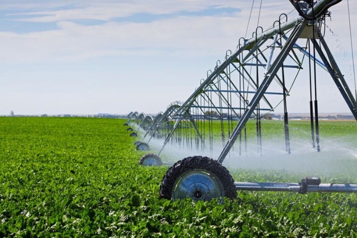 رعایت الگوی مصرف آب در ۸۵ درصد از مزارع آذربایجان غربی