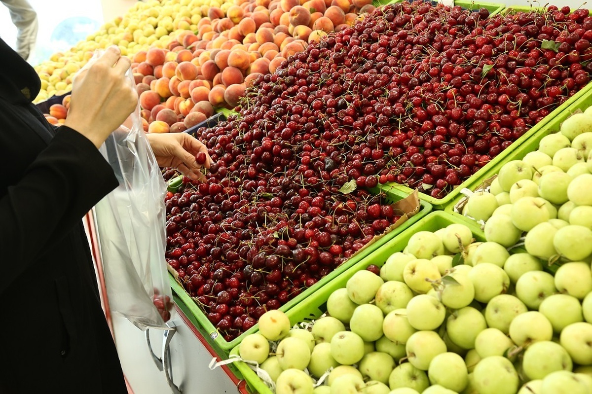 اختلاف قیمت میوه در بازار‌های میوه و تره بار با سطح شهر