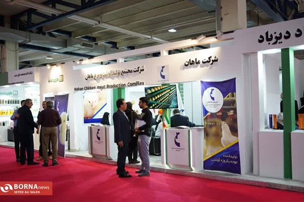 مرغ نژاد آرین گزینه مناسب برای صادرات/ اختراع ربات رصد سلامت و تغذیه مرغها برای اولین بار در ایران مرغ نژاد آرین گزینه مناسب برای صادرات/ اختراع ربات رصد سلامت و تغذیه مرغها برای اولین بار در ایران