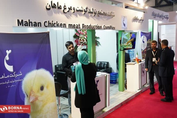 مرغ نژاد آرین گزینه مناسب برای صادرات/ اختراع ربات رصد سلامت و تغذیه مرغها برای اولین بار در ایران مرغ نژاد آرین گزینه مناسب برای صادرات/ اختراع ربات رصد سلامت و تغذیه مرغها برای اولین بار در ایران