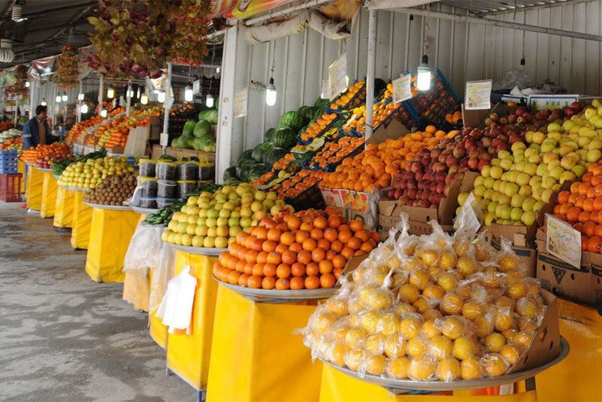 طرح تبدیل جمعه بازار بوشهر به روز بازار کلید خورد