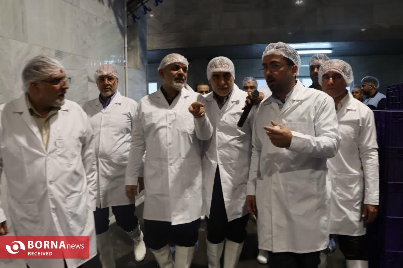 افتتاح مدرنترین کشتارگاه تمام اتوماتیک کشور در لنگرود با حضور وزیر کشور