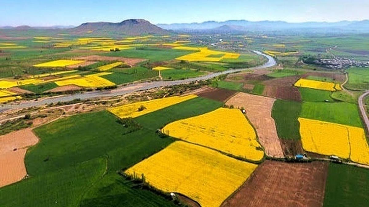 سنددار شدن ۶۵ درصد زمین‌های کشاورزی آذربایجان‌غربی