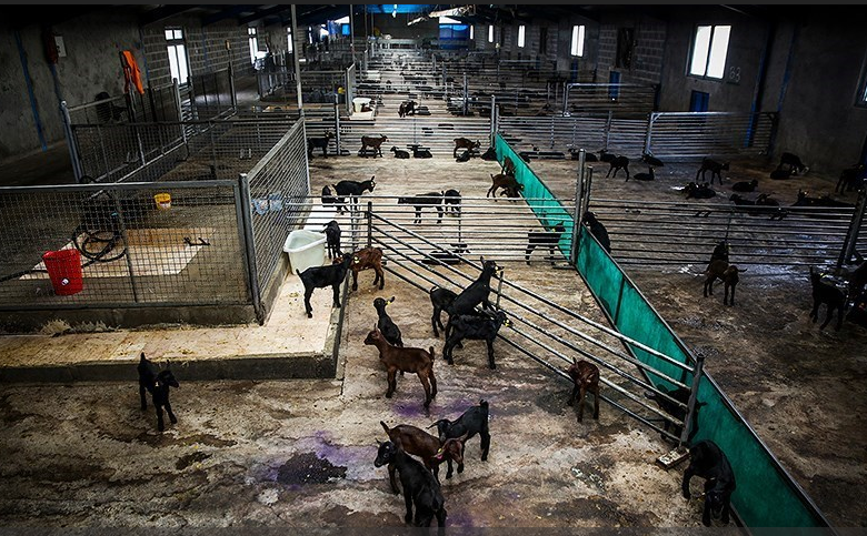 شرکت مگسال آماده ساخت درمانگاه در شهر خاکعلی است 