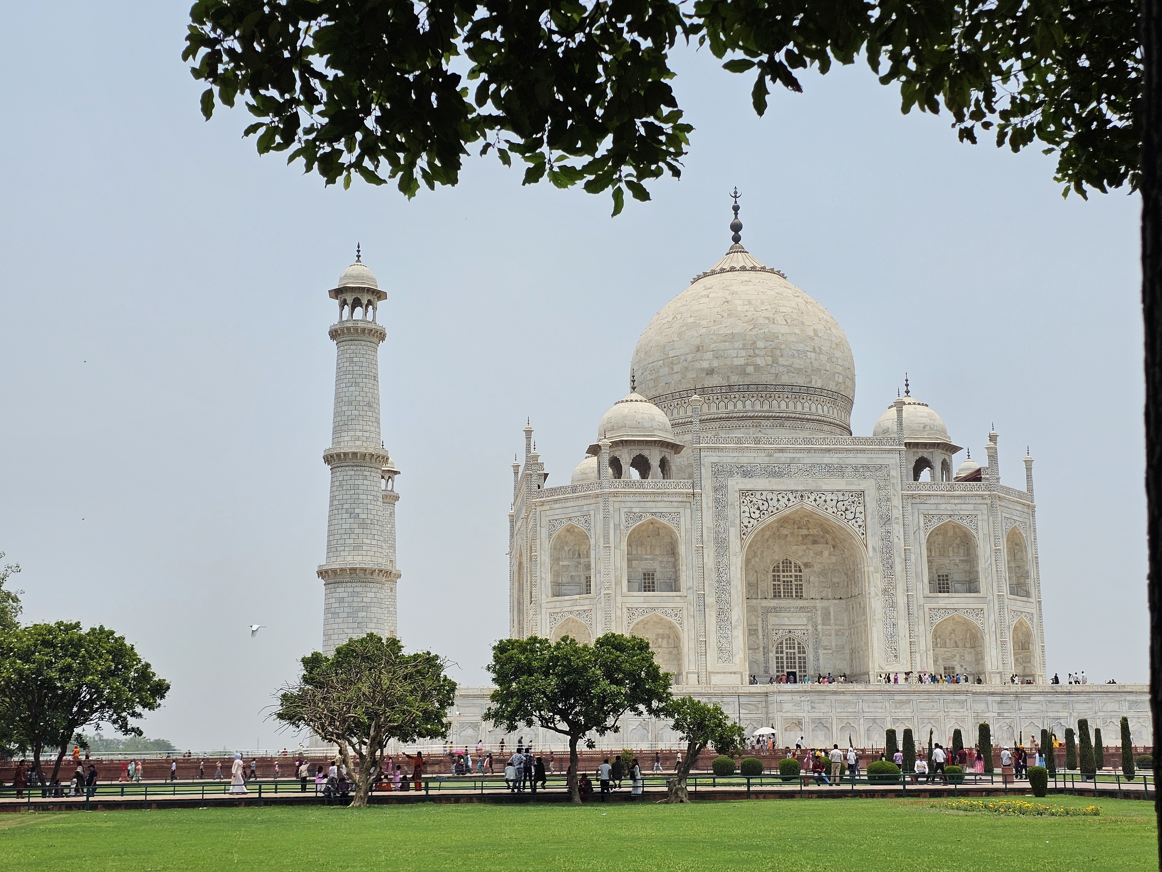 سفر به سرزمین عجایب! سفر به سرزمین عجایب!