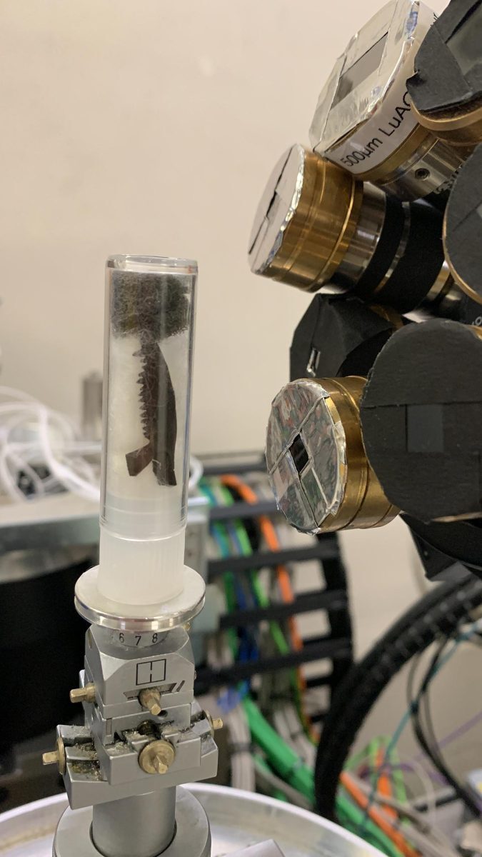 دندان های ژوراسیک اسرار باستانی را فاش می کنند!