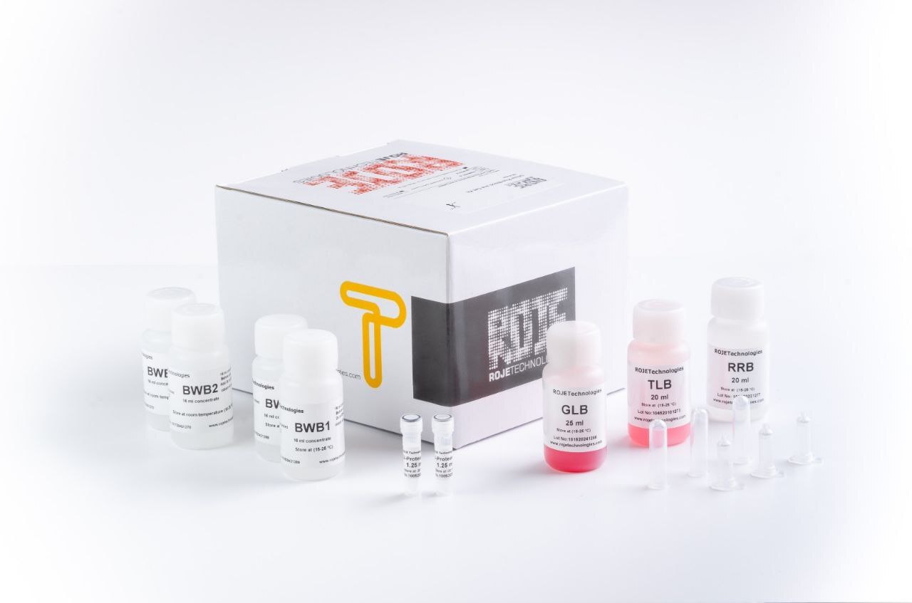 ساخت کیت‌های تشخیص آبله میمونی توسط یک شرکت دانش بنیان ایرانی