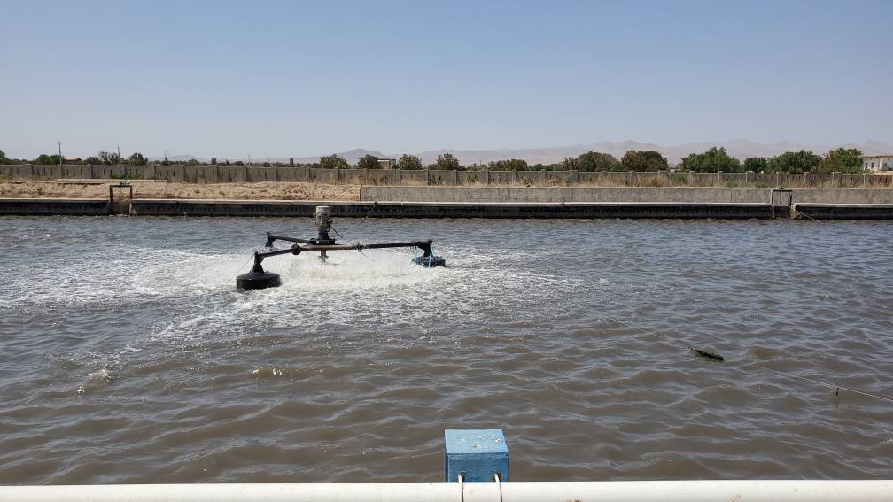 افتتاح سامانه نانو حباب در تاکستان