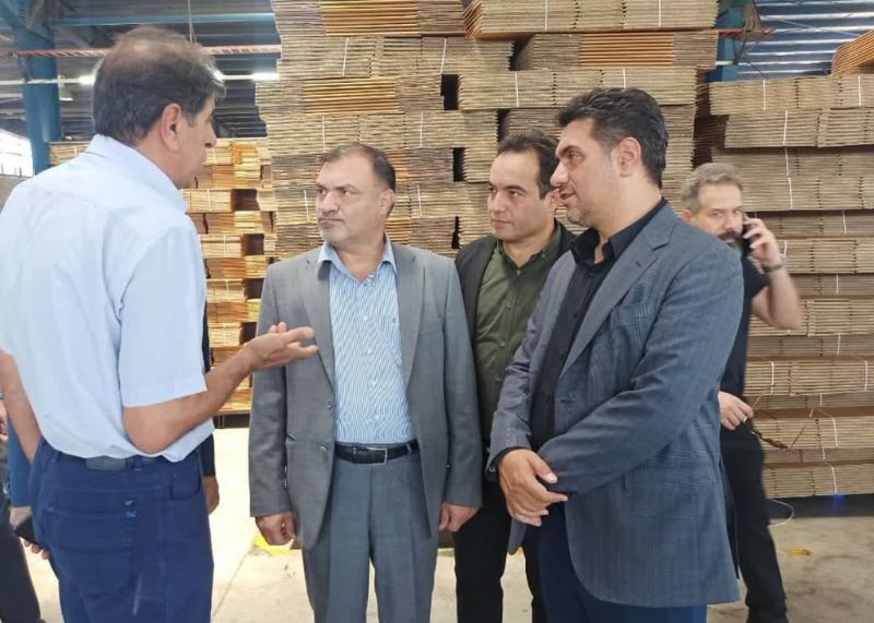 قطع برق و گاز واحدهای صنعتی به تولید آسیب می زند قطع برق و گاز واحدهای صنعتی به تولید آسیب می زند