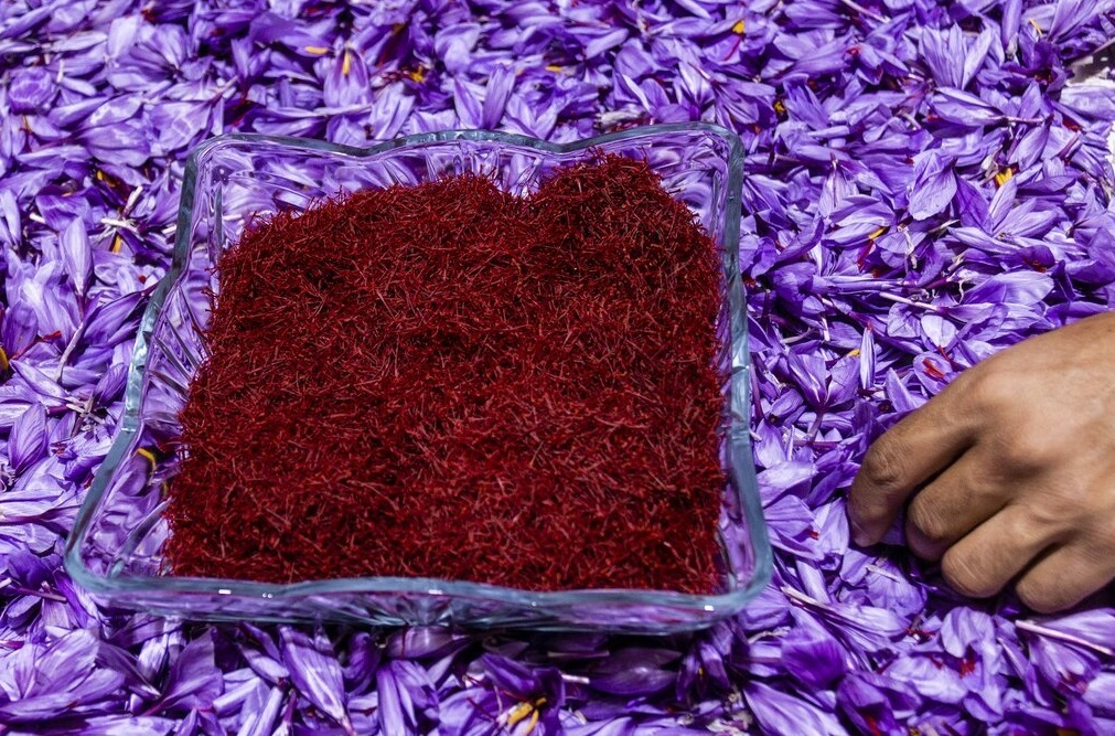 عزم زعفران ایرانی برای تسخیر بازارهای جهانی با فناوری نوین در تولید و بسته بندی