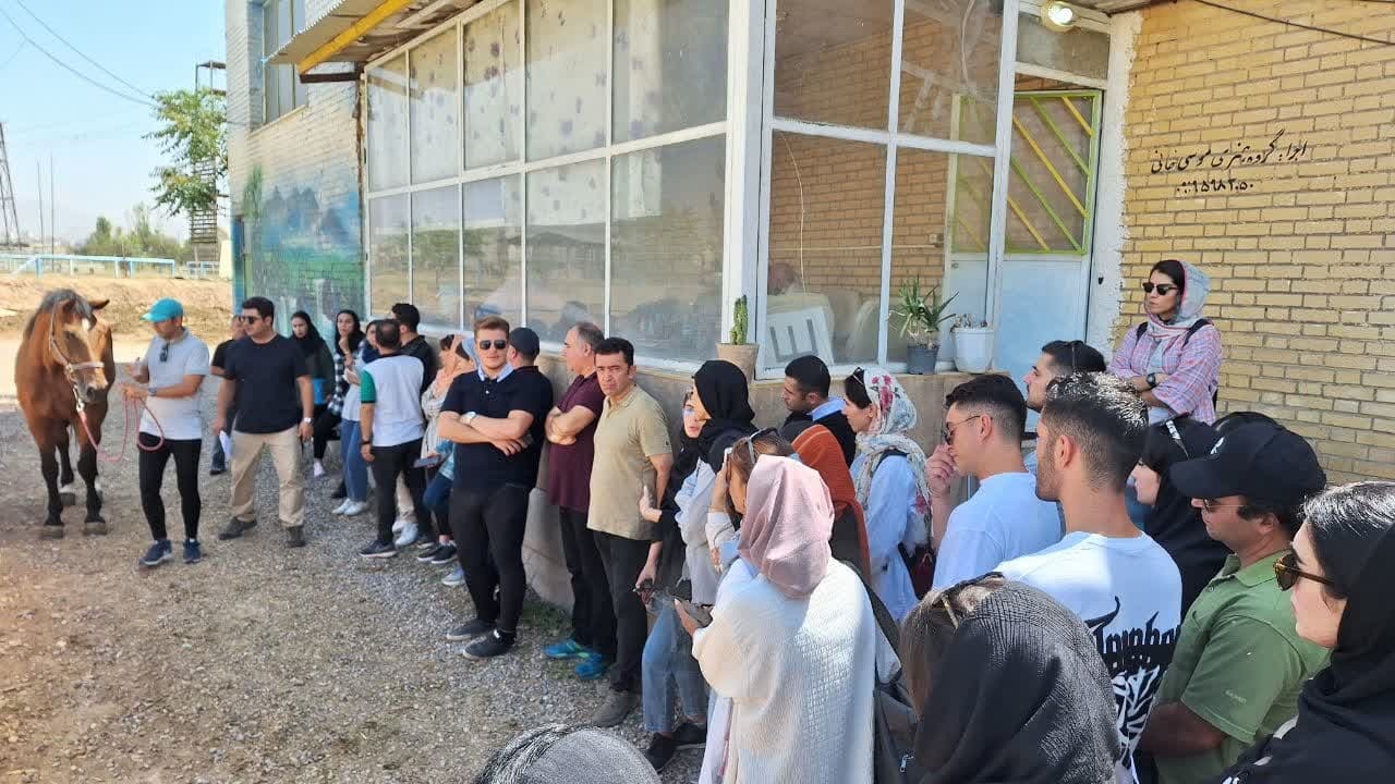 قزوین میزبان دوره مربیگری درجه ۳ سوارکاری 