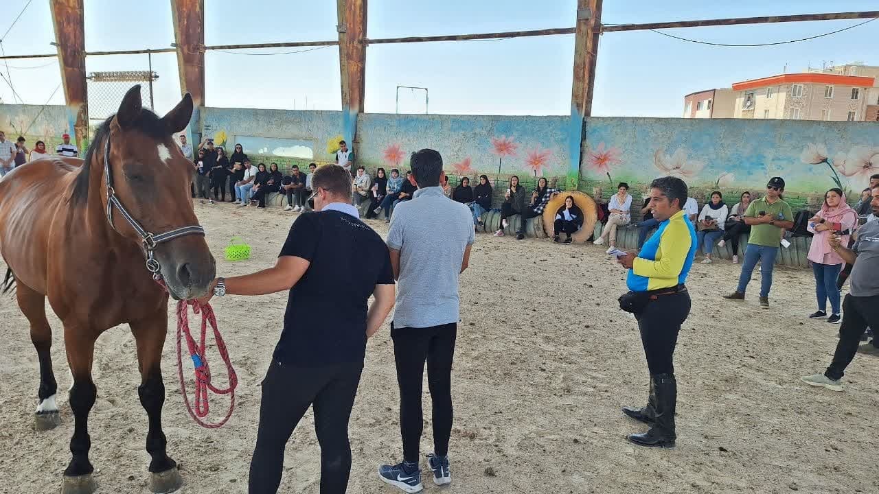 قزوین میزبان دوره مربیگری درجه ۳ سوارکاری 