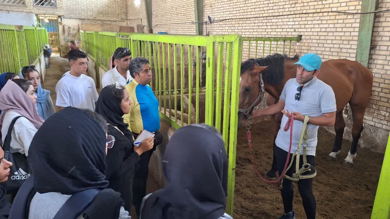 قزوین میزبان دوره مربیگری درجه ۳ سوارکاری 