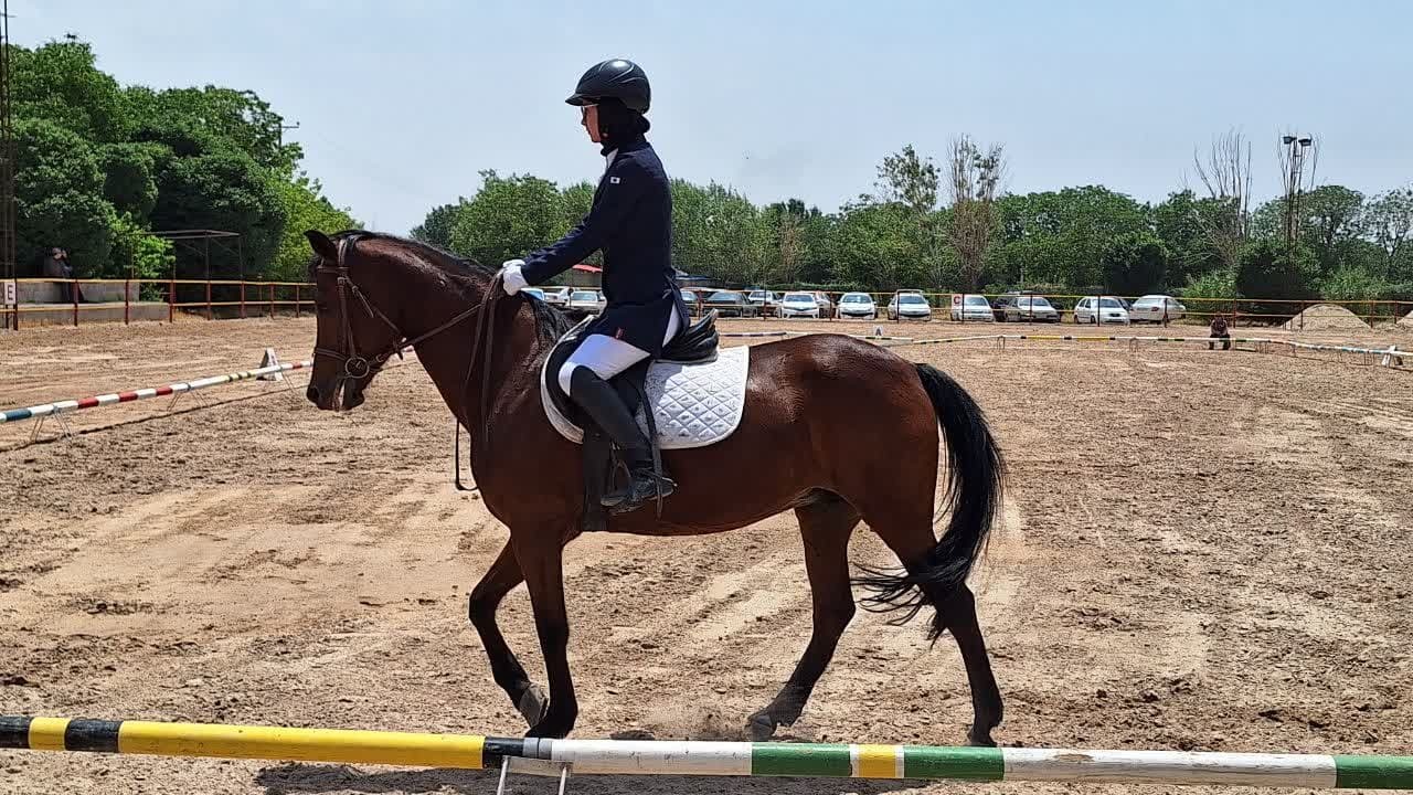 قزوین می تواند پایلوت مسابقات سه روزه سوارکاری شود قزوین می تواند پایلوت مسابقات سه روزه سوارکاری شود