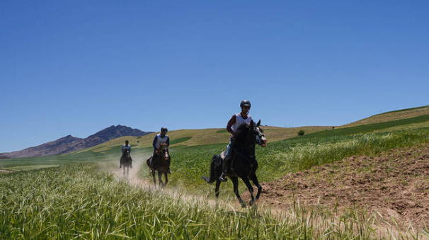 قزوین می تواند پایلوت مسابقات سه روزه سوارکاری شود قزوین می تواند پایلوت مسابقات سه روزه سوارکاری شود