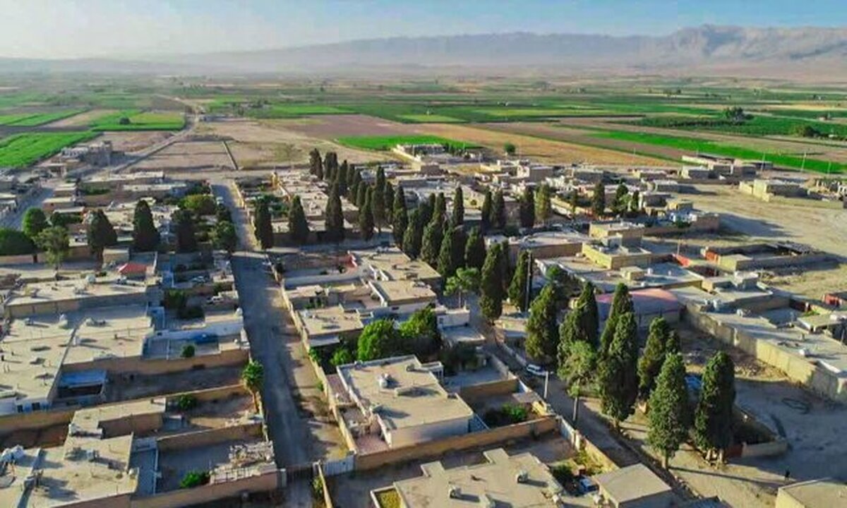 ثابت اقلیدی: 70 درخت‌ کهنسال شهرستان پوشَن در فارس در فهرست آثار ملی قرار گرفت