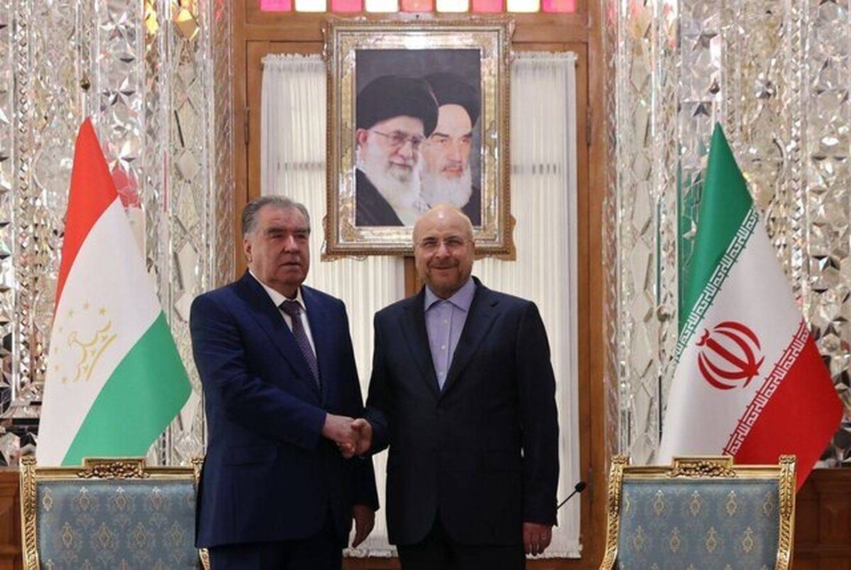 روسای مجالس ایران و تاجیکستان دیدار کردند