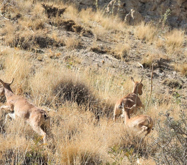 خنک ترین جاهای قم در تابستان کجاست؟