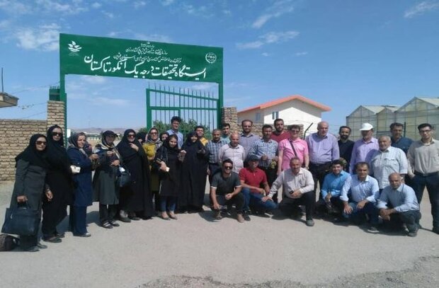 برگزاری ۱۸۷ مورد کارگاه آموزشی و ترویجی کشاورزی در استان قزوین 