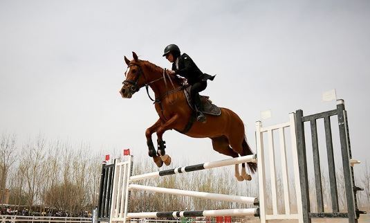 چهارمین رویداد پرش با اسب در استان قزوین برگزار می شود چهارمین رویداد پرش با اسب در استان قزوین برگزار می شود