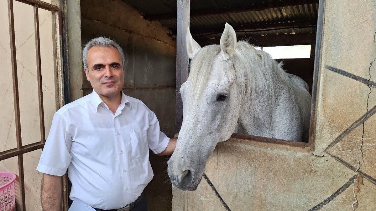 چهارمین رویداد پرش با اسب در استان قزوین برگزار می شود چهارمین رویداد پرش با اسب در استان قزوین برگزار می شود